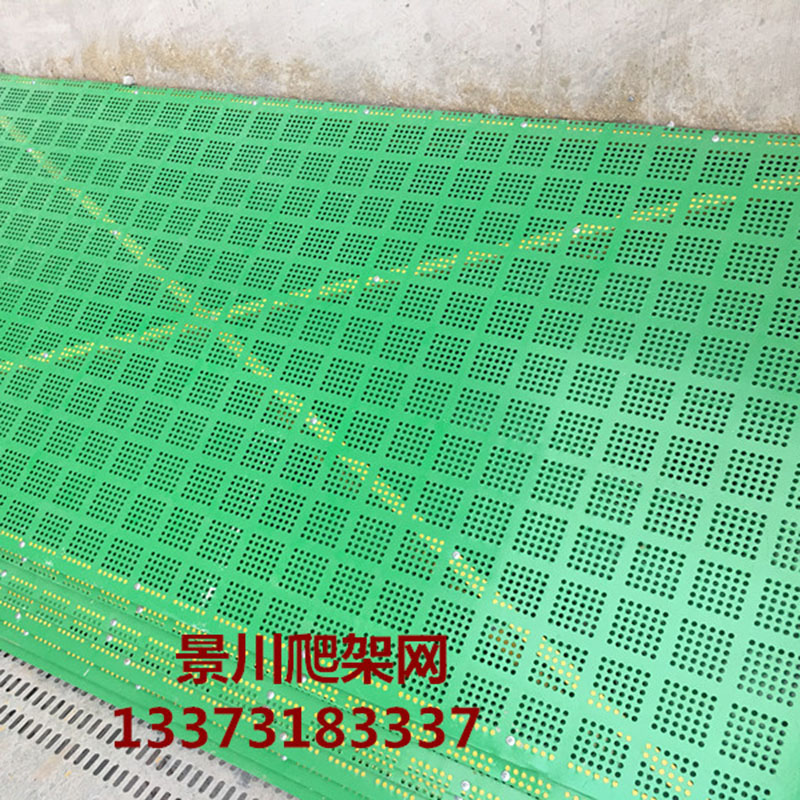 噴塑爬架網(wǎng) 噴塑爬架網(wǎng)